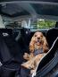 Preview: DOOG Car Seat Cover schwarz Preview: DOOG Car Seat Cover schwarz